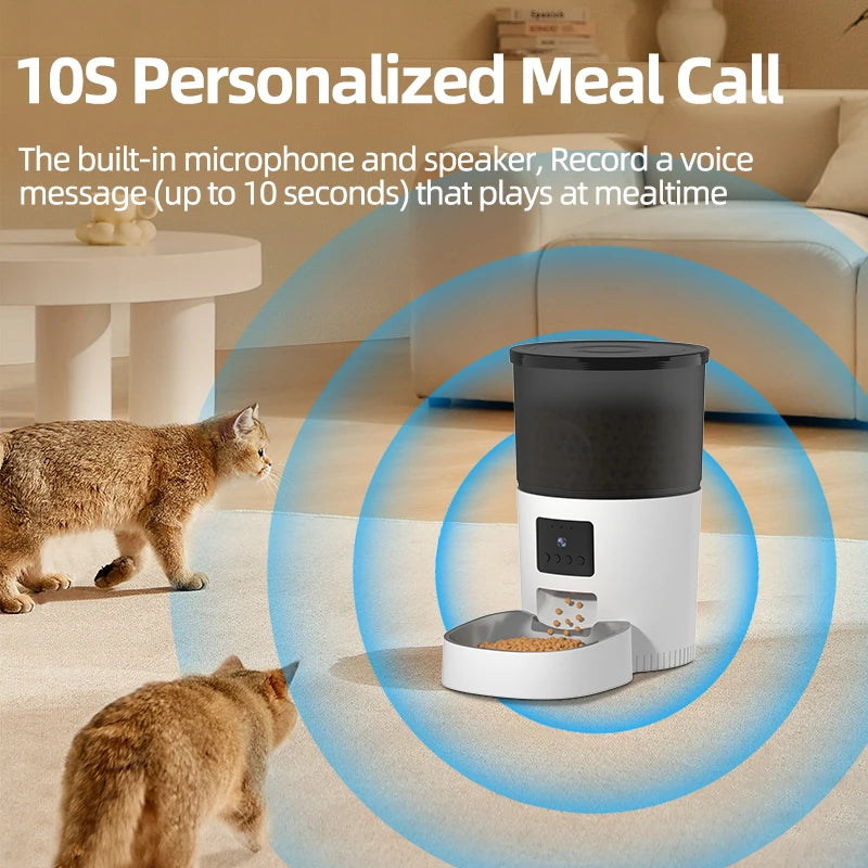 Automatic Cat Feeder With Camera Video
